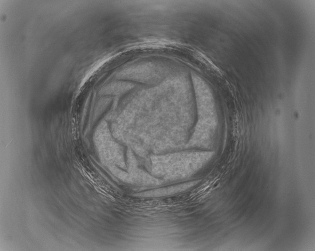 X0000053051208200508081120