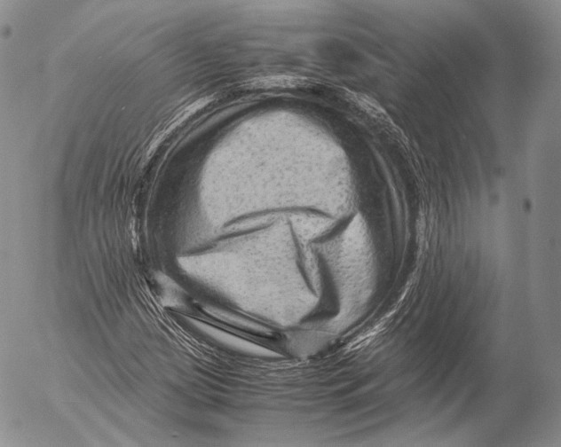 X0000053051209200508081120