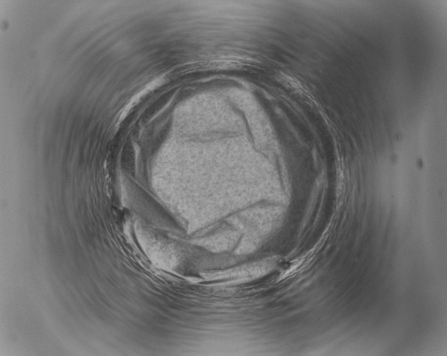 X0000053051210200508081120