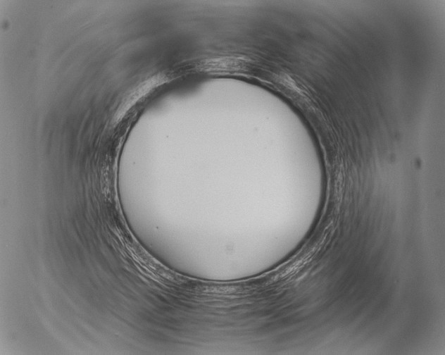 X0000053051211200508081120