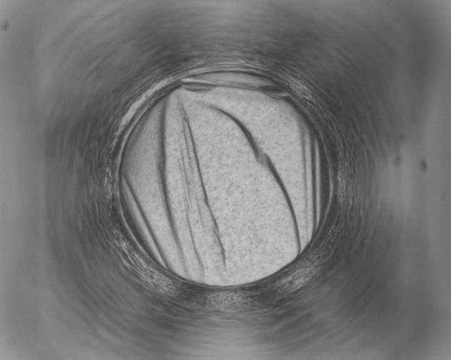 X0000053051212200508081120