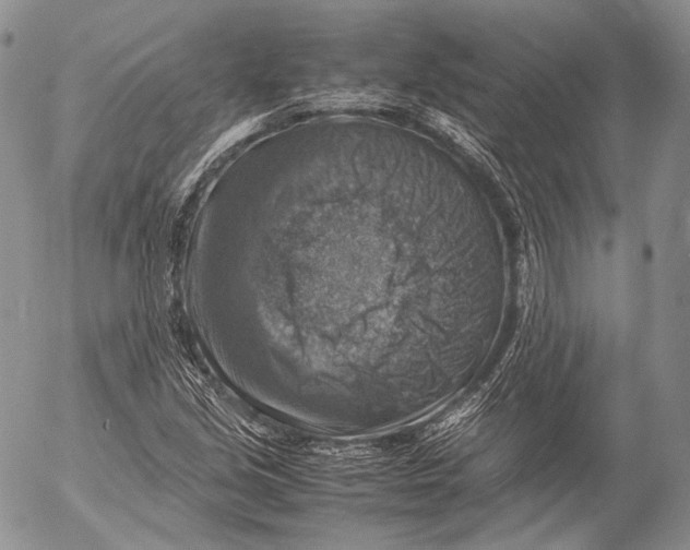 X0000053051213200508081120