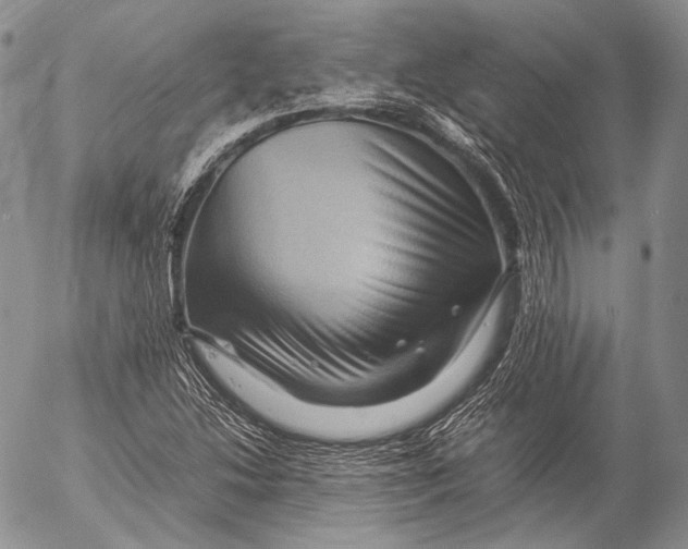 X0000053051214200508081120