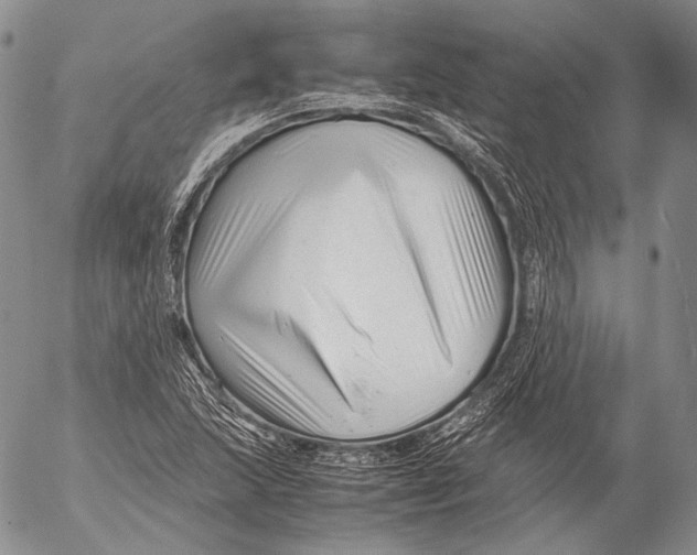 X0000053051215200508081120