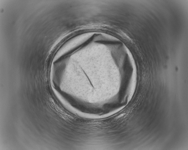 X0000053051216200508081120