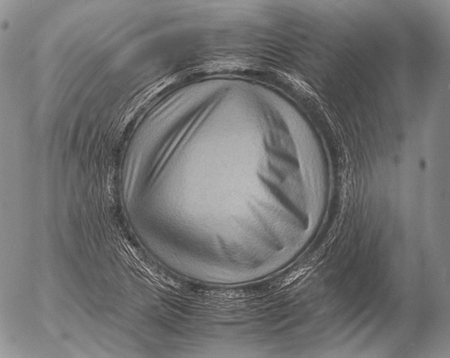 X0000053051217200508081120