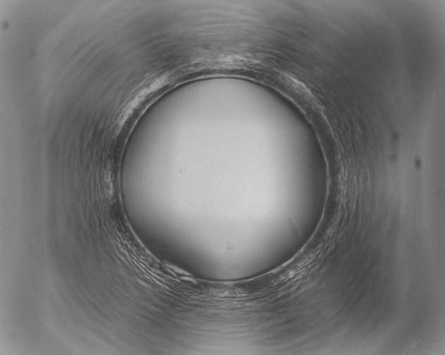 X0000053051218200508081120