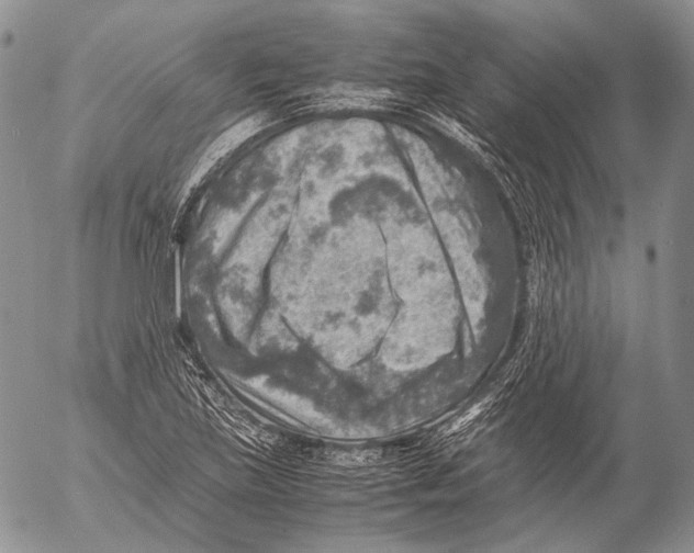 X0000053051219200508081120