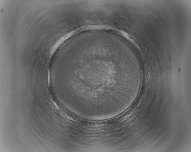 X0000053051221200508081120