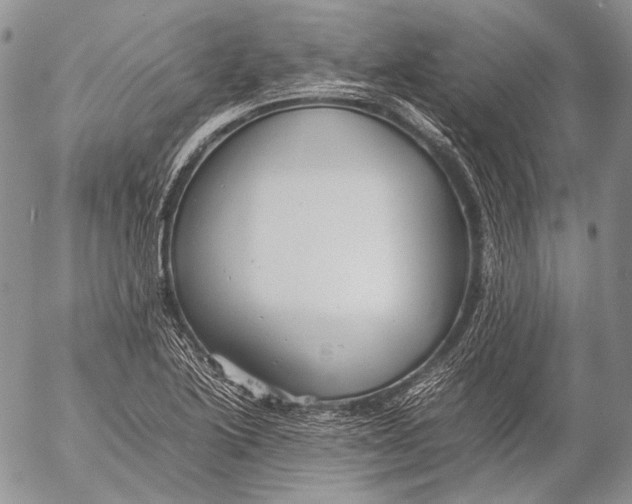 X0000053051222200508081120