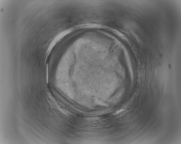 X0000053051223200508081120