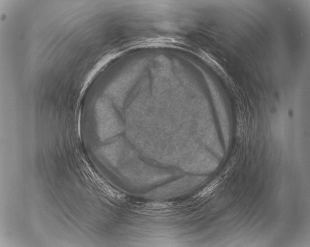 X0000053051224200508081120