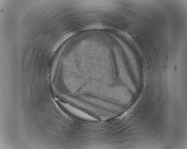 X0000053051225200508081120