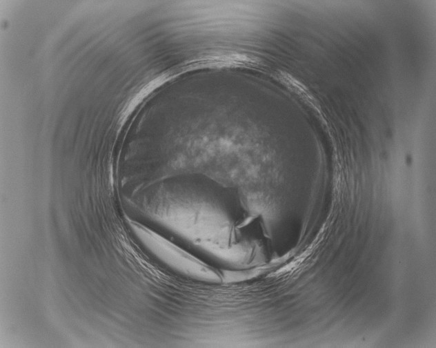 X0000053051226200508081120