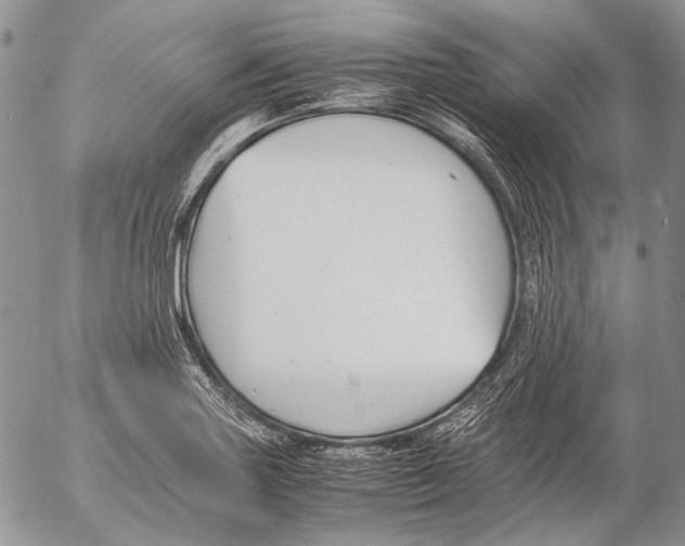 X0000053051227200508081120