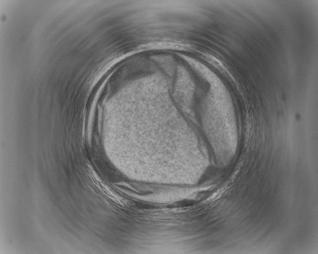 X0000053051228200508081120