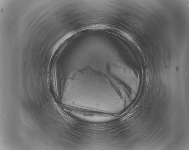 X0000053051229200508081120