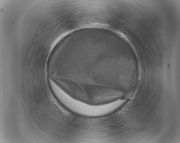 X0000053051230200508081120