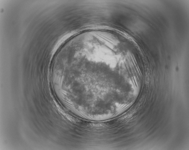 X0000053051231200508081120