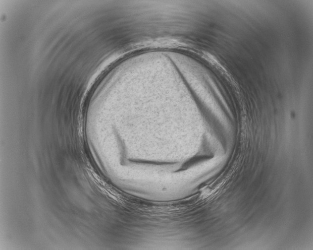 X0000053051232200508081120