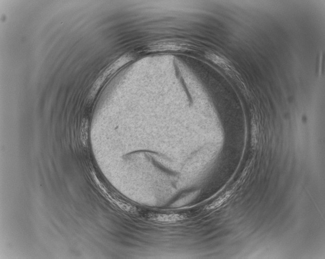 X0000053051233200508081120