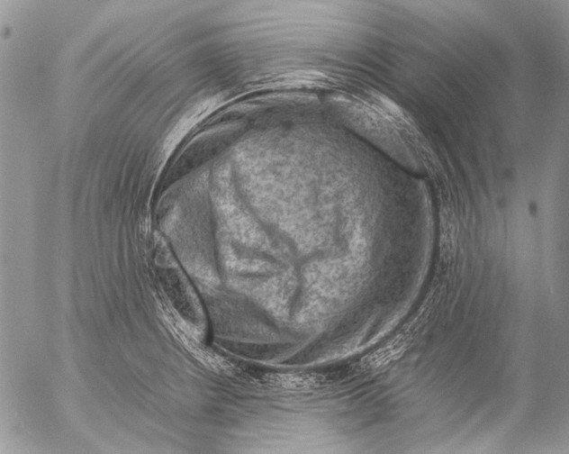 X0000053051234200508081120