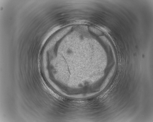 X0000053051235200508081120