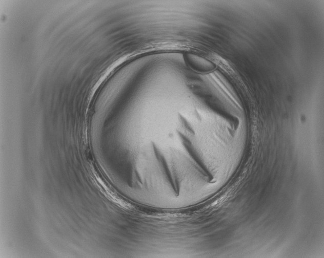 X0000053051236200508081120