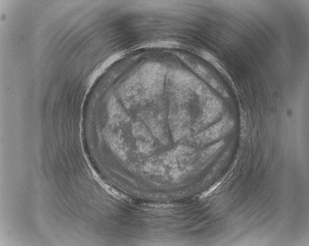 X0000053051237200508081120