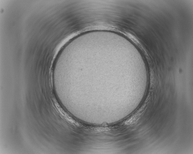 X0000053051238200508081120