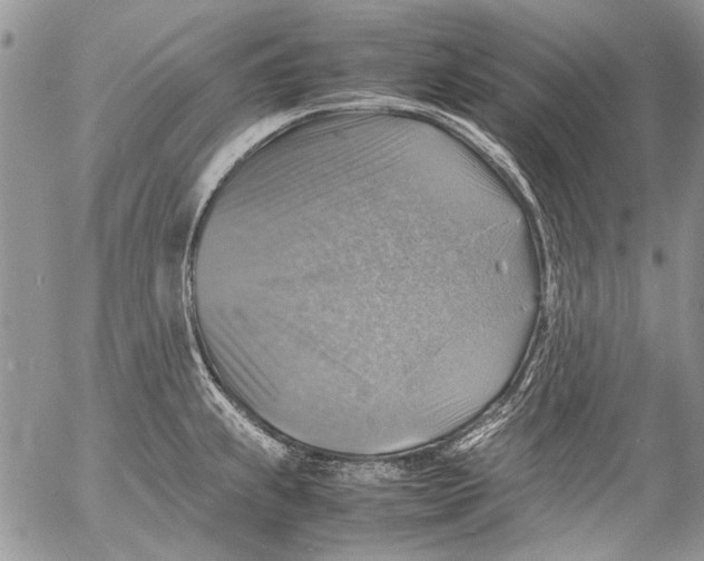 X0000053051239200508081120