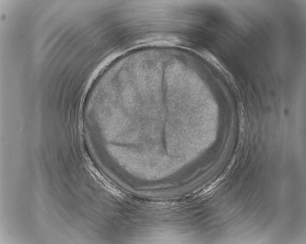 X0000053051240200508081120