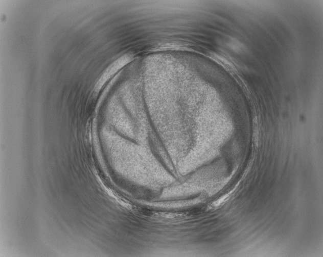 X0000053051241200508081120