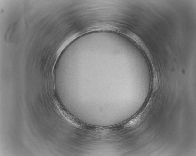 X0000053051242200508081120