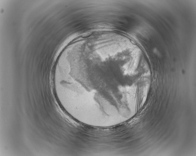 X0000053051243200508081120