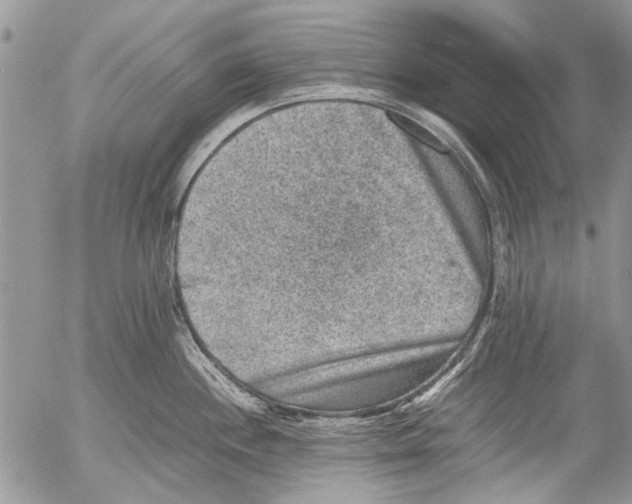 X0000053051244200508081120