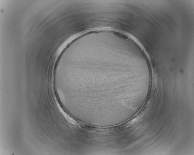 X0000053051245200508081120