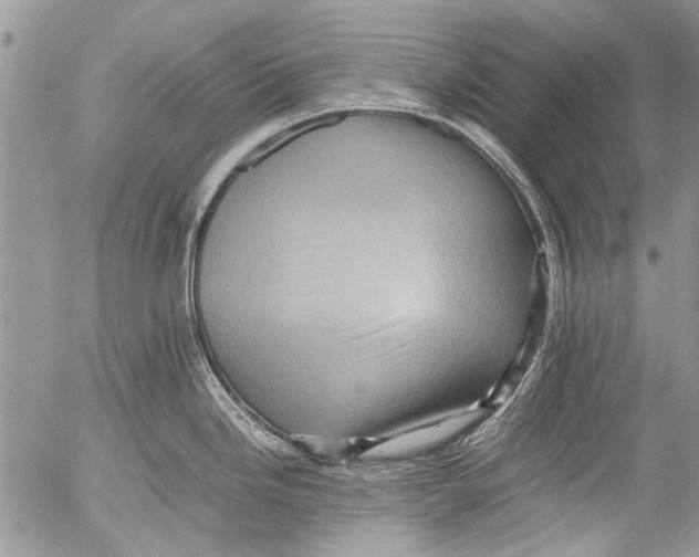 X0000053051246200508081120