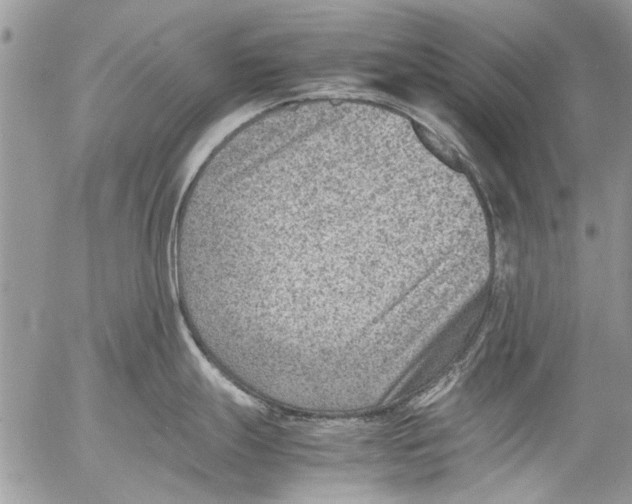 X0000053051247200508081120