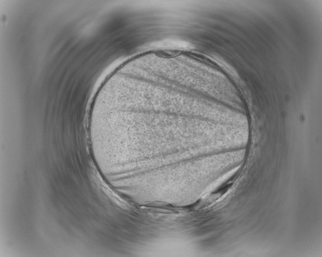 X0000053051248200508081120