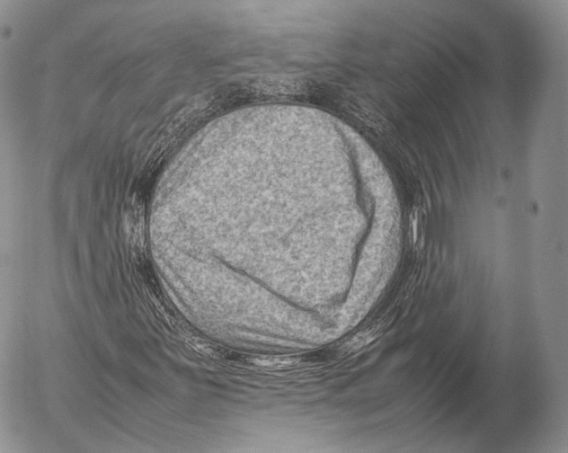 X0000053051251200508081120