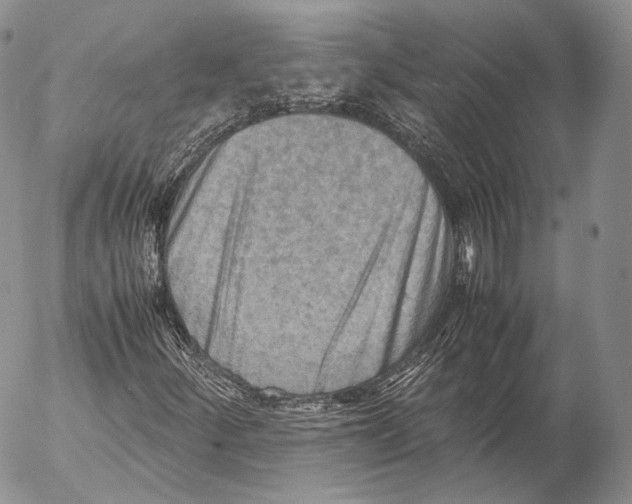 X0000053051252200508081120