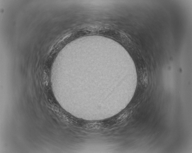 X0000053051253200508081120