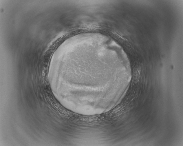 X0000053051254200508081120