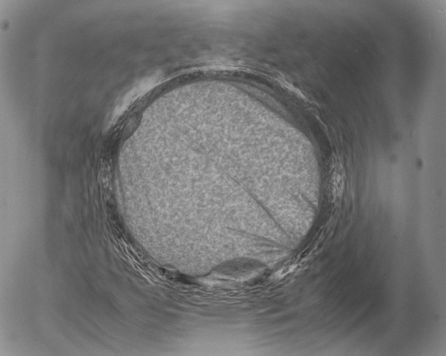 X0000053051255200508081120