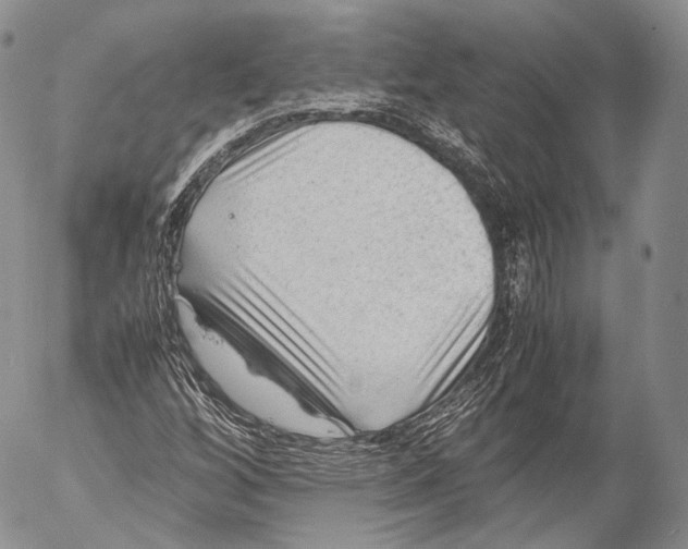 X0000053051256200508081119