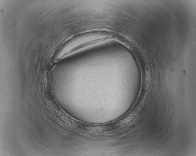 X0000053051257200508081119