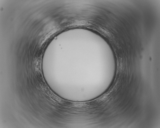 X0000053051258200508081119