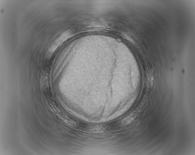 X0000053051259200508081119