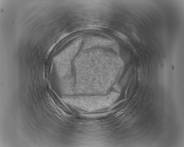 X0000053051260200508081119